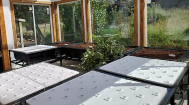 Aquabundance Modular Home Aquaponics System