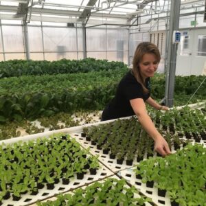 Aquaponic Greenhouse Tour with Tawnya Sawyer