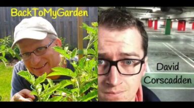 Beyond The Wild Garden with David Corscadden