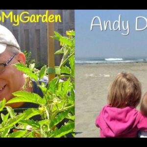 BTMG 096 – Heirloom Tomatoes with Andy Domek