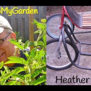 BTMG 097 – Raising Awareness for Community Gardens with Heather Wood