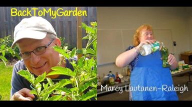 BTMG 099: The World of Herbs with Marcy Lautanen-Raleigh