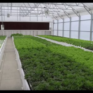 Butter Crunch Farms - by The Aquaponic Source