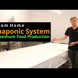 Custom Home Aquaponic System for Maximum Food Production