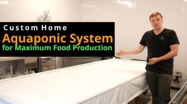 Custom Home Aquaponic System for Maximum Food Production