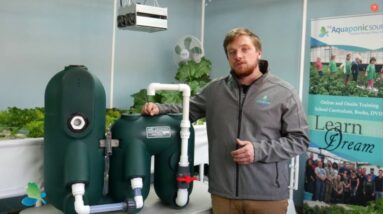 Fine Tuning your Aquaponic Endurance Bead Filter