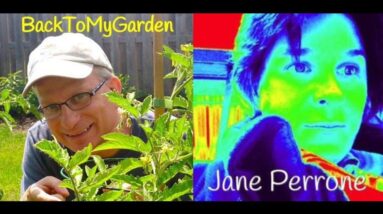 Gardening in the UK with Jane Perrone