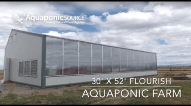 I Choose Family Farms - Aquaponic Farm Build