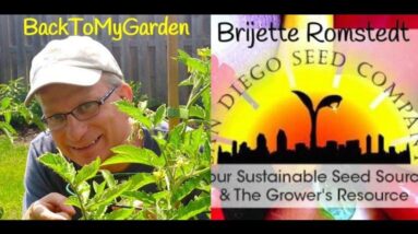 Organic Heirloom Seeds from California with Brijette Romstedt