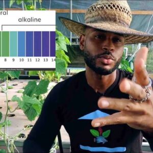 pH VS ALKALINITY AQUAPONICS