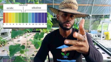 pH VS ALKALINITY AQUAPONICS