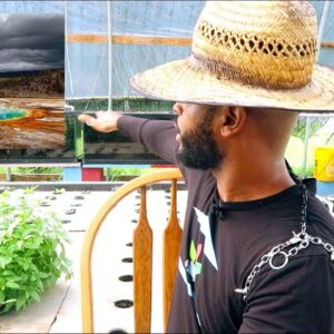 REDUCING EVAPOARATION IN AQUAPONICS