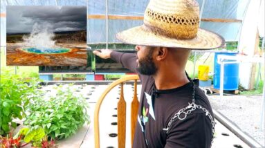 REDUCING EVAPOARATION IN AQUAPONICS