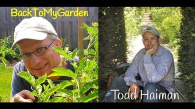 The 4th Dimension of Artistic Garden Design with Todd Haiman