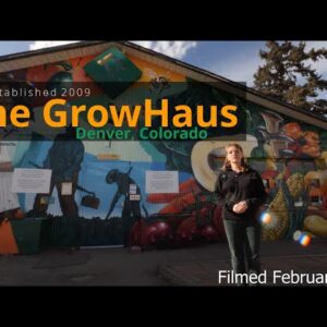 The Grow Haus 10 Minute Aquaponic Tour