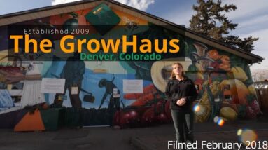 The Grow Haus 10 Minute Aquaponic Tour