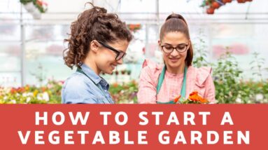 How To Start A Vegetable Garden At Home - 9 Tips To Help You Garden Better!