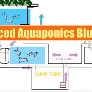 Advanced Aquaponics Blueprint | Ask The aquaponics God Ep23