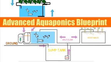 Advanced Aquaponics Blueprint | Ask The aquaponics God Ep23