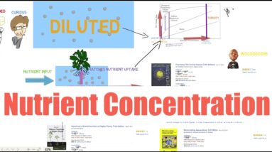 Aquaponics Nutrient Concentrations And Root Uptake | Ask The Aquaponics God