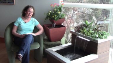 AquaDesigner Aquaponic Living Fountains