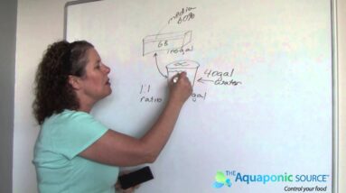 AquaParts Explained