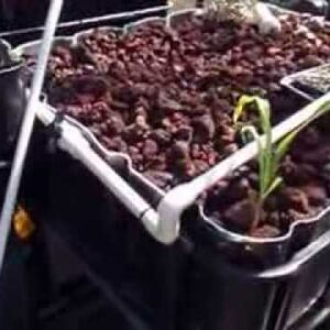 Aquaponic Auto Siphon Overview