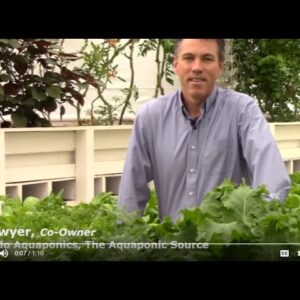 Aquaponic Greenhouse Training