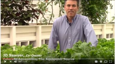 Aquaponic Greenhouse Training