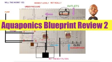 Aquaponics Blueprint Review 2: Ask The Aquaponics God Ep26