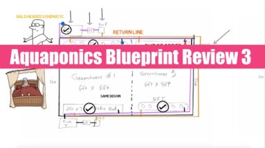 Aquaponics Blueprint Review 3 | Ask The Aquaponics God Ep28