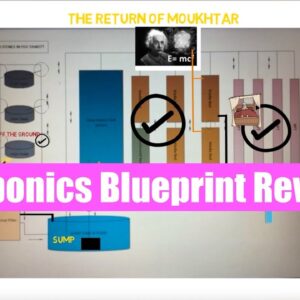 Aquaponics Blueprint Review 4: Ask The Aquaponics God Ep29