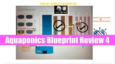 Aquaponics Blueprint Review 4: Ask The Aquaponics God Ep29