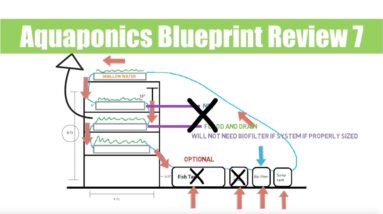 Aquaponics Blueprint Review 7 | Ask The Aquaponics God Ep39