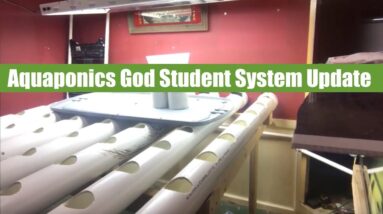 Aquaponics God Student System Update | Ask The Aquaponics God Ep. 70