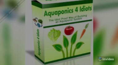 Aquaponics Grow Bed Media and Water