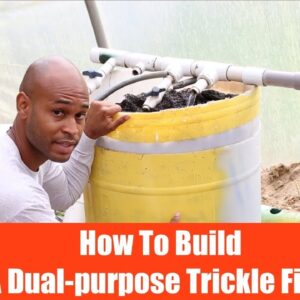 Aquaponics: How to buid a Dual-Purpose Trickle Filter