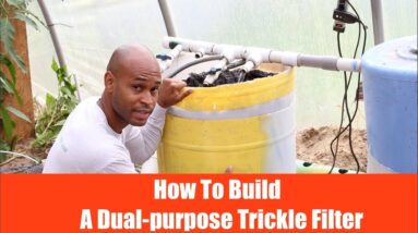 Aquaponics: How to buid a Dual-Purpose Trickle Filter