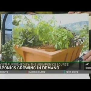 Aquaponics interview with Sylvia Bernstein of The Aquaponic Source