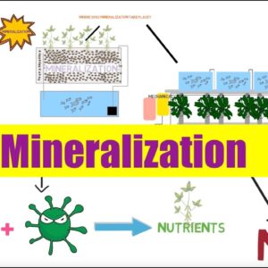 Aquaponics Mineralization | Ask The Aquaponics God Ep27