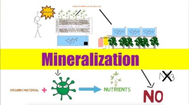 Aquaponics Mineralization | Ask The Aquaponics God Ep27