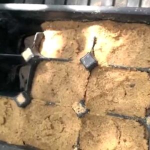 Aquaponics Okra Seedlings