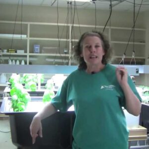 Aquaponics pH - Part 4 - How to lower your pH