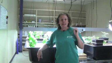 Aquaponics pH - Part 4 - How to lower your pH