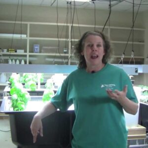 Aquaponics pH - Part 5 - How to raise your pH