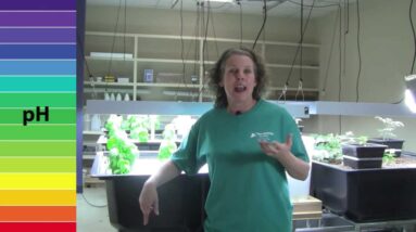 Aquaponics pH - Part 5 - How to raise your pH