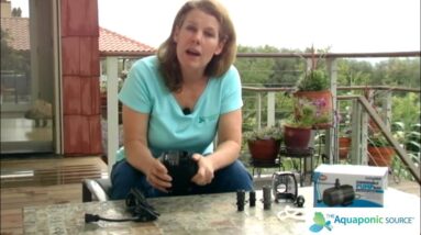 Aquaponics Pump Basics