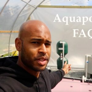 Aquaponics Q&A | Ask The Aquaponics God