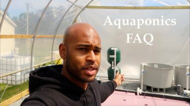 Aquaponics Q&A | Ask The Aquaponics God