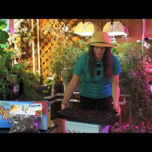 Aquaponics Seed Starting How-To with Safari Kari